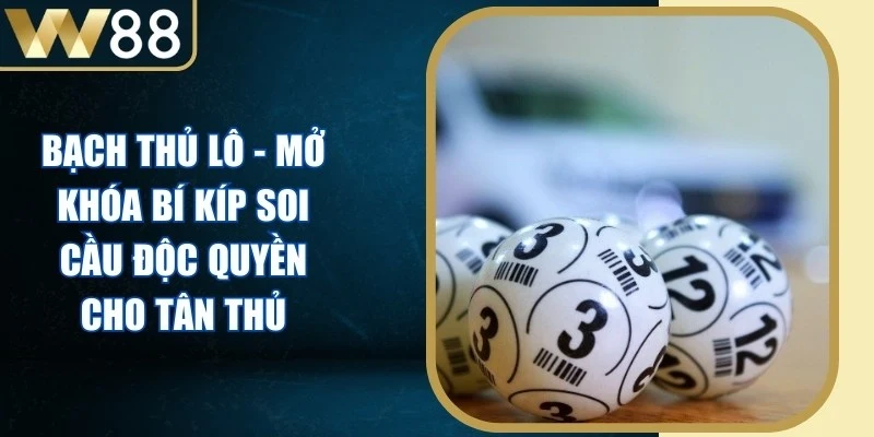 Bạch Thủ Lô - Mở Khóa Bí Kíp Soi Cầu Độc Quyền Cho Tân Thủ - Picamo Bạch Thủ Lô - Mở Khóa Bí Kíp Soi Cầu Độc Quyền Cho Tân Thủ - Picamo