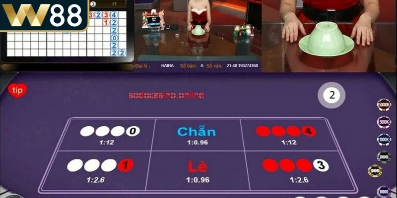 Cách Bắt Cầu Xóc Đĩa - Bí Kíp Dự Đoán Trúng Lớn Hiệu Quả - Picamo