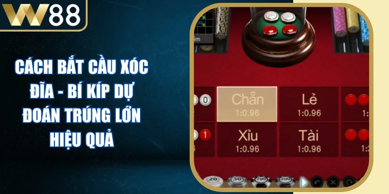 Cách Bắt Cầu Xóc Đĩa - Bí Kíp Dự Đoán Trúng Lớn Hiệu Quả - Picamo