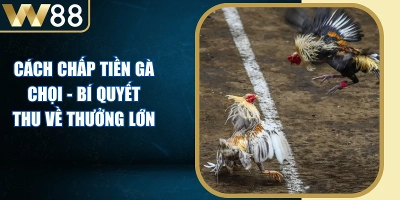 Đá Gà - W88 Avala ⭐️ Link Vào W88 Đăng Ký Chơi Giải Nhật Lùn 2026 - Picamo