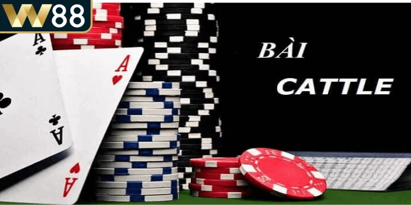 Cách Chơi Catte - Bật Mí Cách Chơi Đánh Bại Đối Thủ - Picamo Cách Chơi Catte - Bật Mí Cách Chơi Đánh Bại Đối Thủ - Picamo