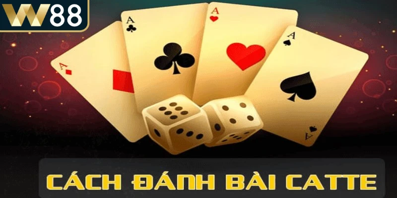 Cách Chơi Catte - Bật Mí Cách Chơi Đánh Bại Đối Thủ - Picamo Cách Chơi Catte - Bật Mí Cách Chơi Đánh Bại Đối Thủ - Picamo