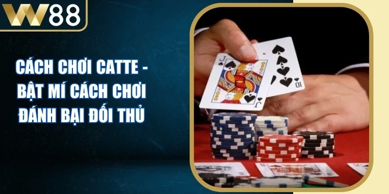 Cách Chơi Catte - Bật Mí Cách Chơi Đánh Bại Đối Thủ - Picamo Cách Chơi Catte - Bật Mí Cách Chơi Đánh Bại Đối Thủ - Picamo