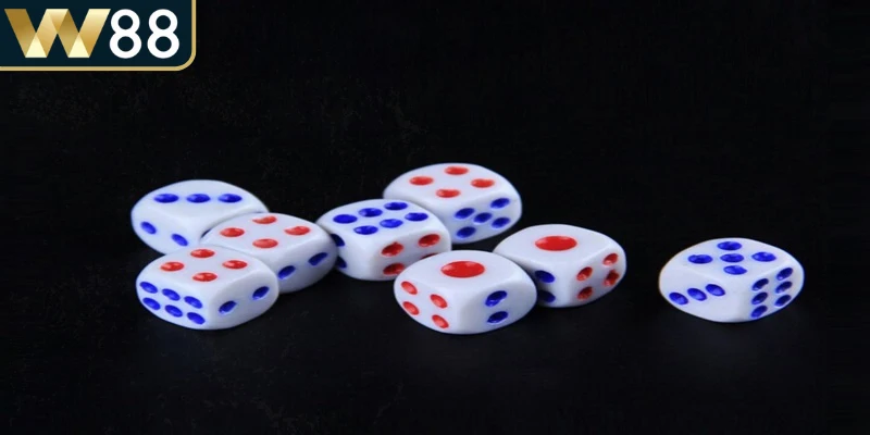 Cách Chơi Xí Ngầu Chi Tiết Giúp Người Mới Thành Công - Picamo