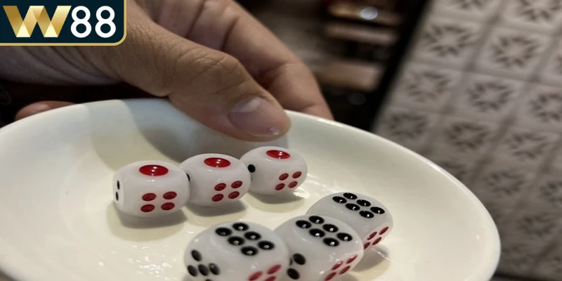 Cách Chơi Xí Ngầu Chi Tiết Giúp Người Mới Thành Công - Picamo