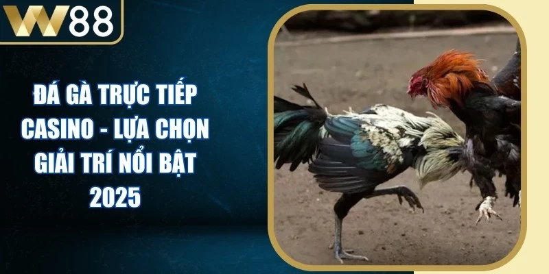 Đá Gà - W88 Avala ⭐️ Link Vào W88 Đăng Ký Chơi Giải Nhật Lùn 2026 - Picamo