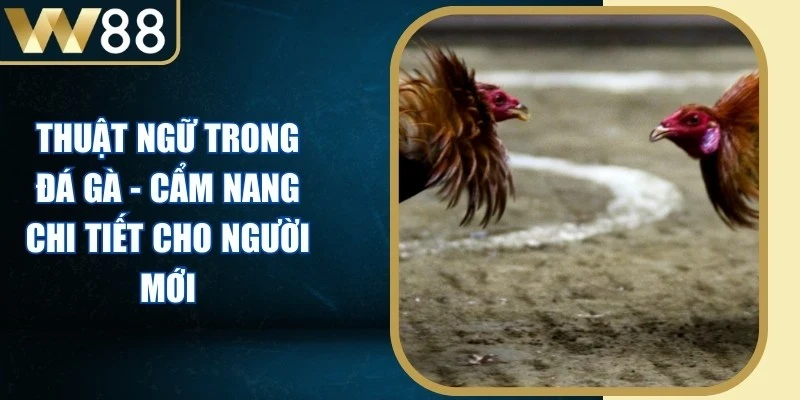 Đá Gà - W88 Avala ⭐️ Link Vào W88 Đăng Ký Chơi Giải Nhật Lùn 2026 - Picamo