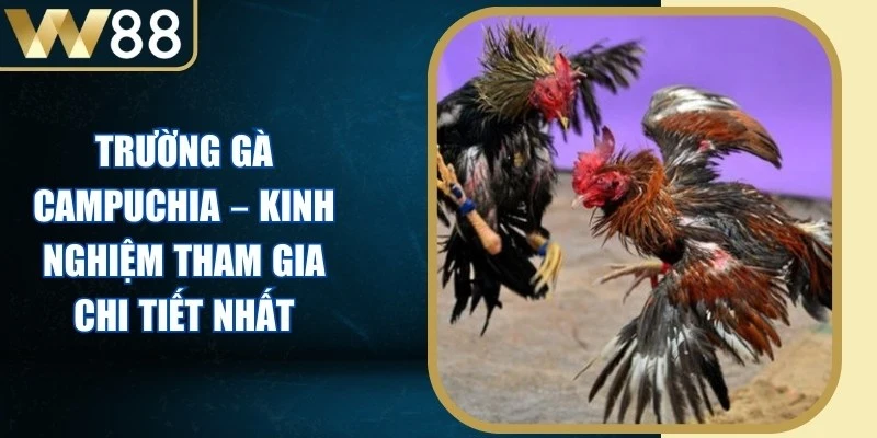 Đá Gà - W88 Avala ⭐️ Link Vào W88 Đăng Ký Chơi Giải Nhật Lùn 2026 - Picamo